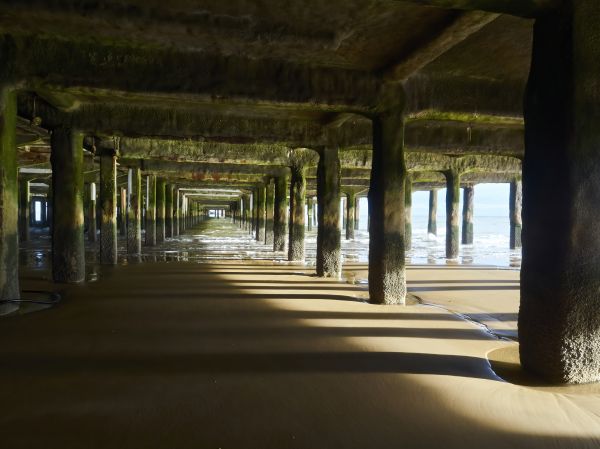 Cost of Pier And Beam Leveling in Brentwood